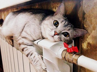 � ����������� ������� ������������ �����: ������� � ��������� ���������
