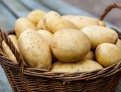 � �����  ���� �� ��������� ������� �� 62%