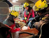 ������ �������� �� ����� �� ���� �����-��� 