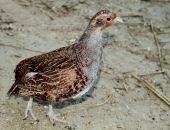 � ����� ��������� �� ���� 500 ���������  