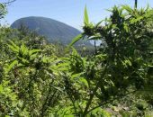 ��� �� ������� � ����� ������ �������� ������������ ����