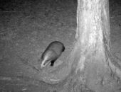 � ����� � ����������� ����� ������ ������: ������