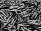 �� ������ ����� ��������� ������ � ���� ������ �����