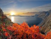 ������ ����� ���������� � ����� �� ��������� ������