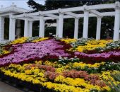 � ��������� ������������ ���� ��������� ��� ���������