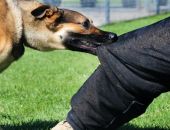 �� ������ ����� 70 ������� ���������� �� ��������� ��������