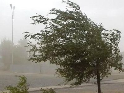 ������� �������: ����� ���� ���� �� ���� ����������� ���������