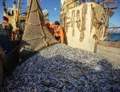 ����� 26 ���� ���� ��������� � �����-������������ ��������