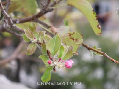 ����� �����: � ����� ������� ������...