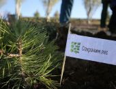 ������ � ����� �������� ������������� ����� ��������� ���