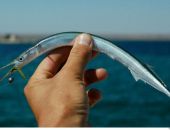 � ����� ��������� ����� ����� ������� � �������