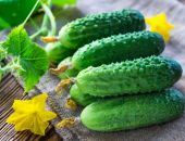 � ����� �� ������ ������ ����� ���������� ������, - �����!