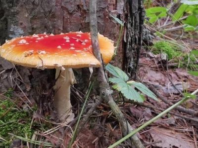 � ����� ��� ����� � �����: ����� �� ���������!