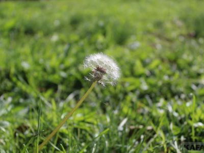 ��������: ��� ������ �� ����