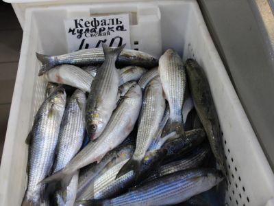 � ����� ���������� � �������� ���������� ������� �� ��������