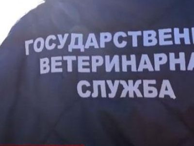�� ���������� �������  �������� ���������������� �����������