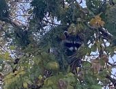 � ����� ���� ������ ����� ������� � ���� �� ����� ����� 