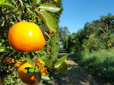 � ���� �� ��������� ���� ���������� �� ������