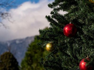 � ����� ������� ��������� ����������� �� ����� ���