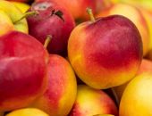 ���� ��������� ������������ ���� �������� 