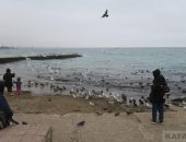 � ����������� ��� � ����� ������ ����������, � �������� �� +13