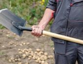 � ����� ��������� ���������� � ������� ��  �������� �������