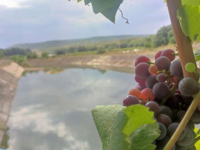 � ����� ���������  �������� � ����� �� ����������
