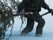 Какой штраф ждет крымчан, которые решат срубить елку в лесу