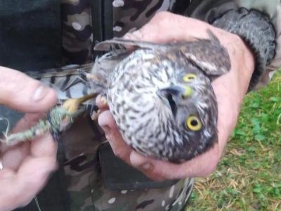 � ����� ������ �������, ������������� � ������ ������ ��-�� ������