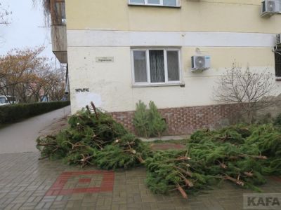 � �������� �������� ������� ���������� �����