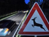 ��� ������  ���������� 70 ����� ������ �� ������ �����