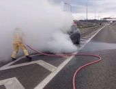 � ����� �� ������ "�������" ���������� ��������� �� ���� 