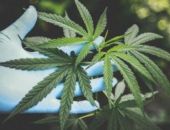 � ������ ���������������� ������ ���������� ����� 24 �� ���������