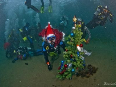 ��� ���� � ���� ���� � �������� � ����� 30 �������