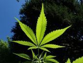 ������� ����� ������� ����� �� ���� ��������� 