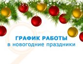 В ГАИ Крыма рассказали, как МРЭО будет работать в новогодние праздники