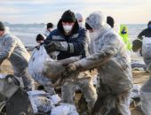 В Крыму на Аршинцевской косе собрали 226 тонн загрязненного мазутом песка 