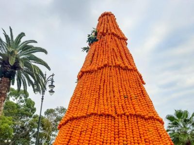 � ������� ������� ��������� ������������ ������������ ����