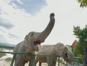 � �������� �������� � ������� ������ ����� ���������� �������