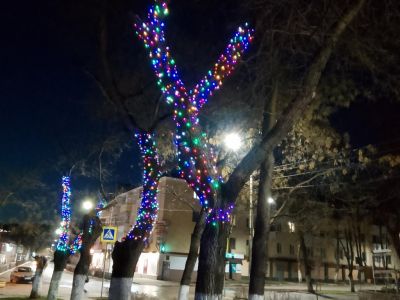 ��������: ������ ���� ������ ����