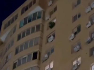 � ����������� ���� ����������� � ��������� � 17-�� ����� ����� ������ � ����