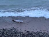  �� ����� 30 ��������� ������� ����� ������� ������ � ������ ���� 