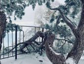 � ����� �� ��-����� � ��������� ��������  �����  ���� 