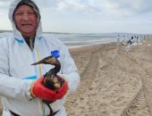 ������ ������� �� ������ ���� ������ ����� ��������� � ����