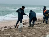 � ������������ ������ ����� ����� ������ ����� ������ ��