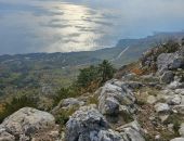 � 2025 ���� � ����� �������� ��� ����� ����� ���������� ��������� ����������