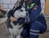 ���������� ��� ������ ���������� ���