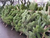 � ����� ����� 6 ����� ���������� ����� ������� �� �������