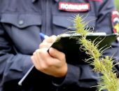 ��� ����� ������� � ����� = 4 ���� ������� �������