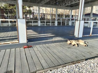 ��������: ��� ��� ����� � ����?